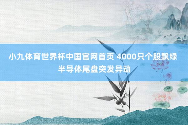 小九体育世界杯中国官网首页 4000只个股飘绿 半导体尾盘突发异动