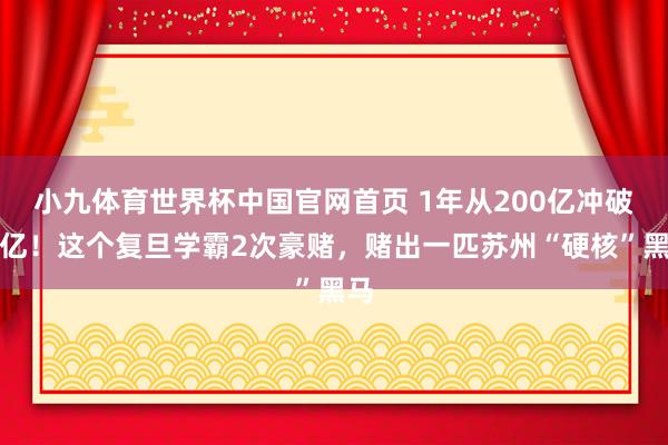 小九体育世界杯中国官网首页 1年从200亿冲破千亿！这个复旦学霸2次豪赌，赌出一匹苏州“硬核”黑马