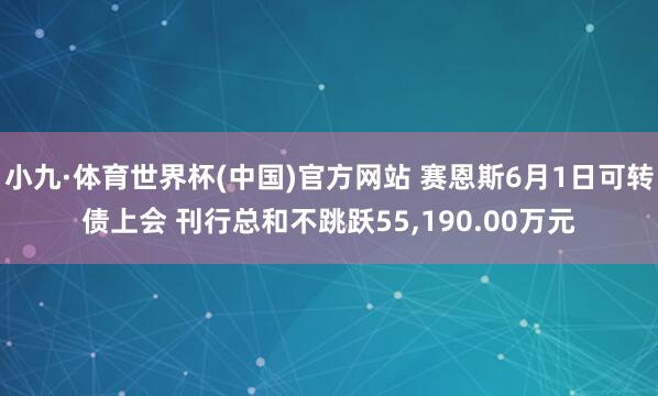小九·体育世界杯(中国)官方网站 赛恩斯6月1日可转债上会 刊行总和不跳跃55,190.00万元
