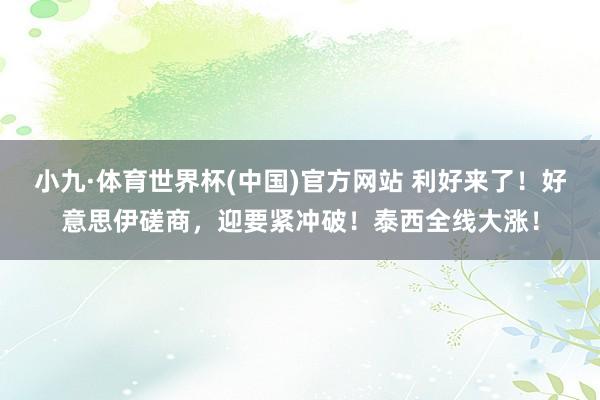 小九·体育世界杯(中国)官方网站 利好来了！好意思伊磋商，迎要紧冲破！泰西全线大涨！