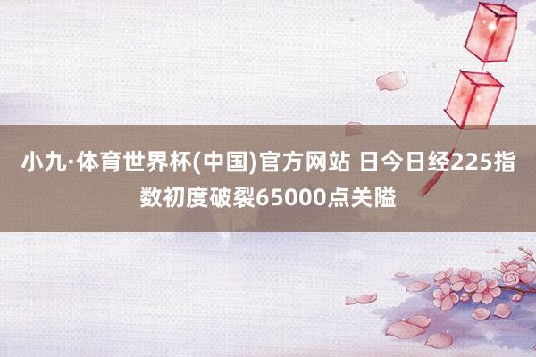 小九·体育世界杯(中国)官方网站 日今日经225指数初度破裂65000点关隘