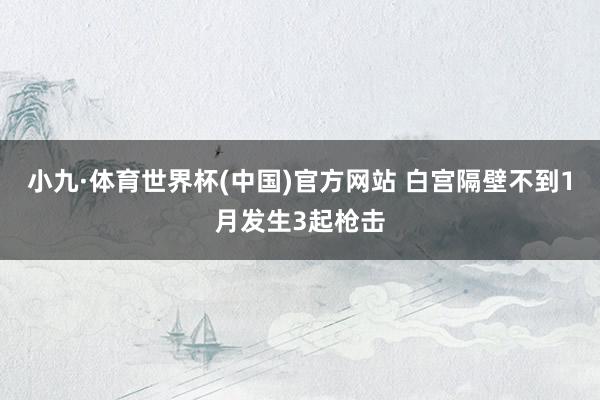 小九·体育世界杯(中国)官方网站 白宫隔壁不到1月发生3起枪击
