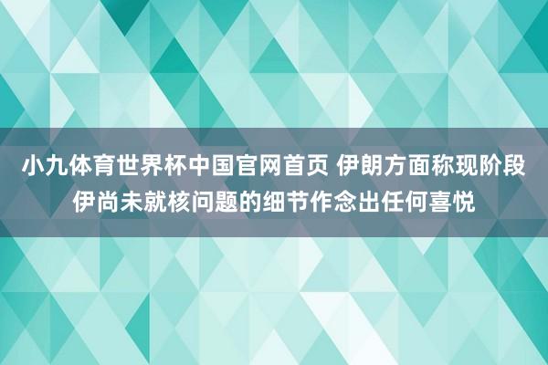 小九体育世界杯中国官网首页 伊朗方面称现阶段伊尚未就核问题的细节作念出任何喜悦