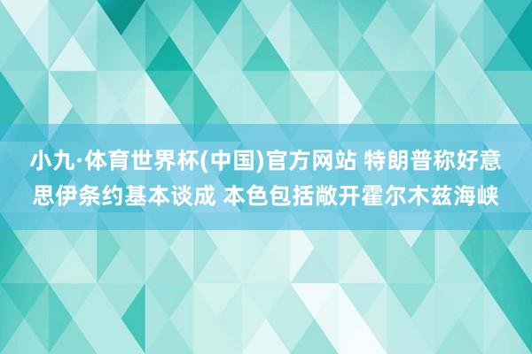 小九·体育世界杯(中国)官方网站 特朗普称好意思伊条约基本谈成 本色包括敞开霍尔木兹海峡