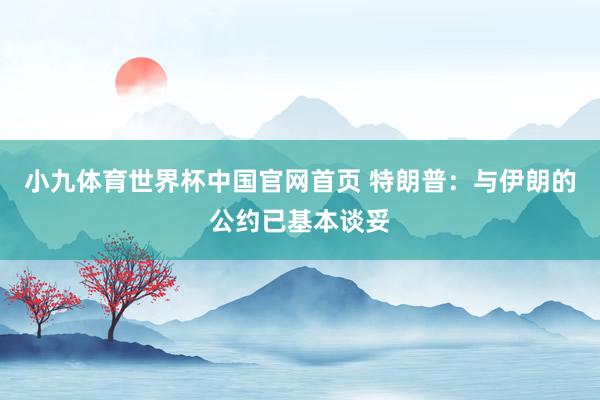 小九体育世界杯中国官网首页 特朗普：与伊朗的公约已基本谈妥