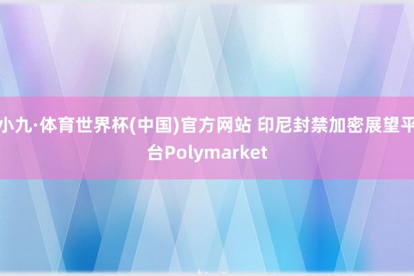 小九·体育世界杯(中国)官方网站 印尼封禁加密展望平台Polymarket