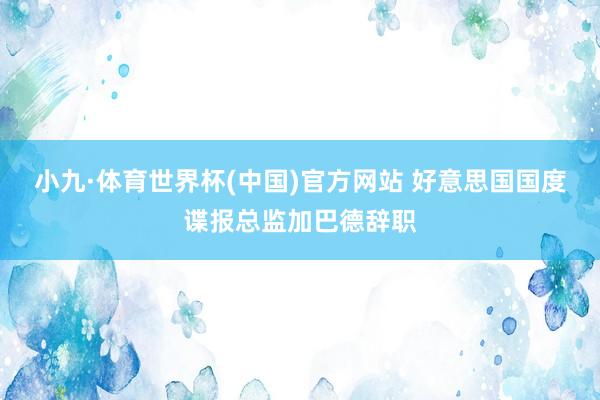 小九·体育世界杯(中国)官方网站 好意思国国度谍报总监加巴德辞职