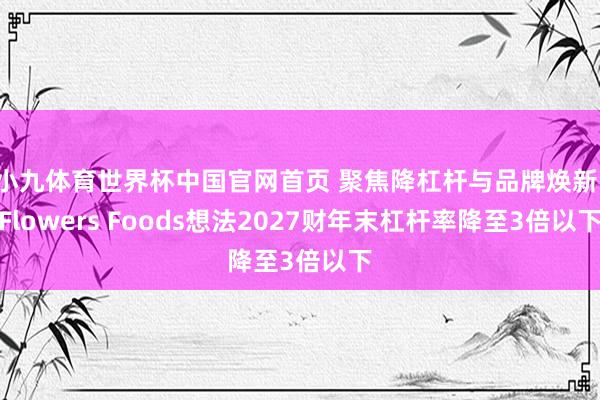 小九体育世界杯中国官网首页 聚焦降杠杆与品牌焕新，Flowers Foods想法2027财年末杠杆率降至3倍以下