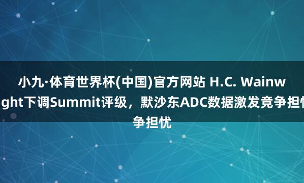 小九·体育世界杯(中国)官方网站 H.C. Wainwright下调Summit评级，默沙东ADC数据激发竞争担忧