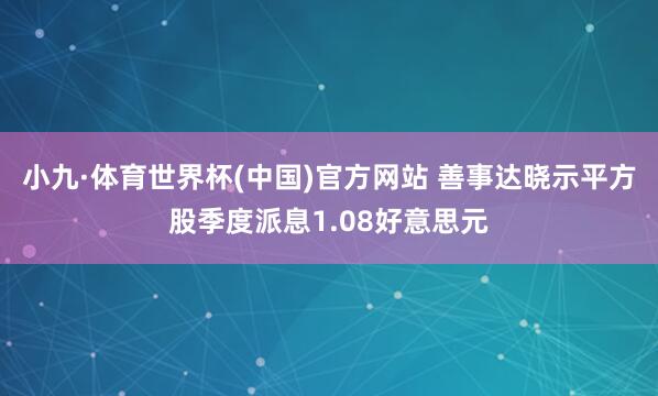 小九·体育世界杯(中国)官方网站 善事达晓示平方股季度派息1.08好意思元