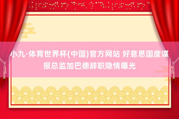 小九·体育世界杯(中国)官方网站 好意思国度谍报总监加巴德辞职隐情曝光