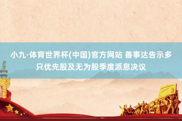 小九·体育世界杯(中国)官方网站 善事达告示多只优先股及无为股季度派息决议