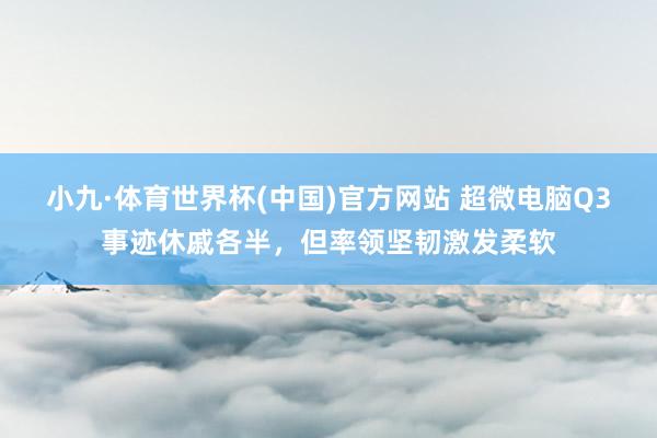 小九·体育世界杯(中国)官方网站 超微电脑Q3事迹休戚各半，但率领坚韧激发柔软