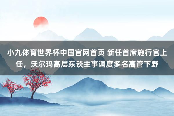 小九体育世界杯中国官网首页 新任首席施行官上任，沃尔玛高层东谈主事调度多名高管下野
