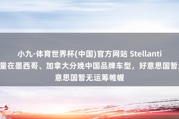小九·体育世界杯(中国)官方网站 Stellantis CEO：酌量在墨西哥、加拿大分娩中国品牌车型，好意思国暂无运筹帷幄