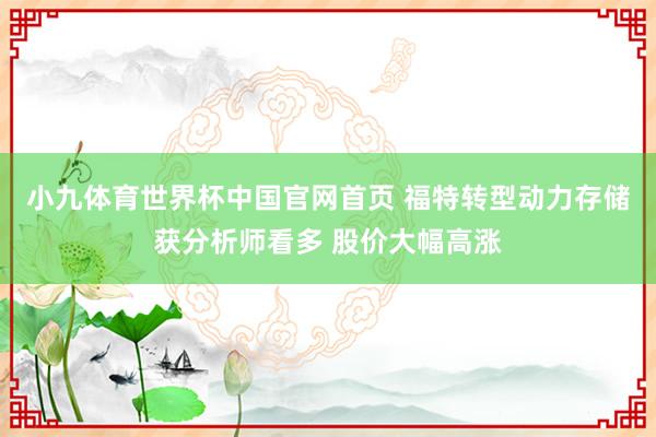 小九体育世界杯中国官网首页 福特转型动力存储获分析师看多 股价大幅高涨