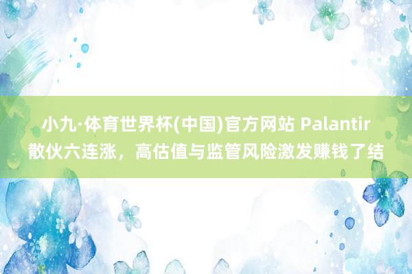 小九·体育世界杯(中国)官方网站 Palantir散伙六连涨，高估值与监管风险激发赚钱了结