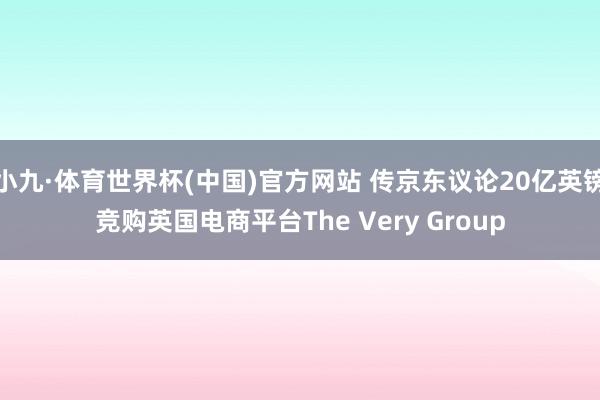 小九·体育世界杯(中国)官方网站 传京东议论20亿英镑竞购英国电商平台The Very Group