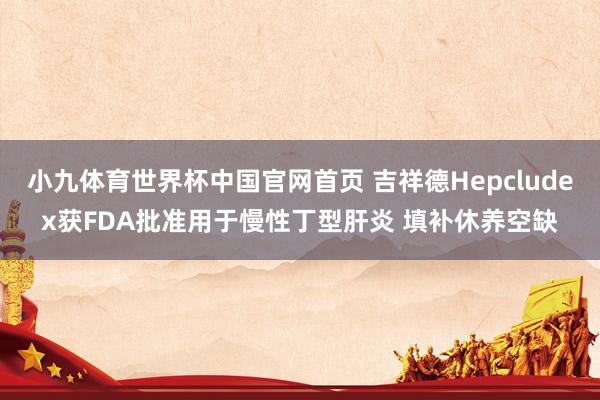 小九体育世界杯中国官网首页 吉祥德Hepcludex获FDA批准用于慢性丁型肝炎 填补休养空缺