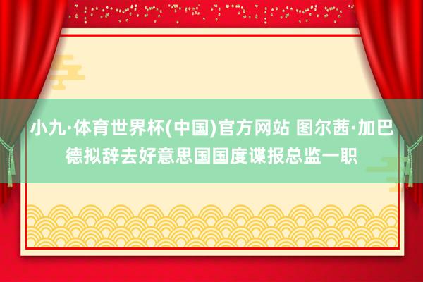 小九·体育世界杯(中国)官方网站 图尔茜·加巴德拟辞去好意思国国度谍报总监一职