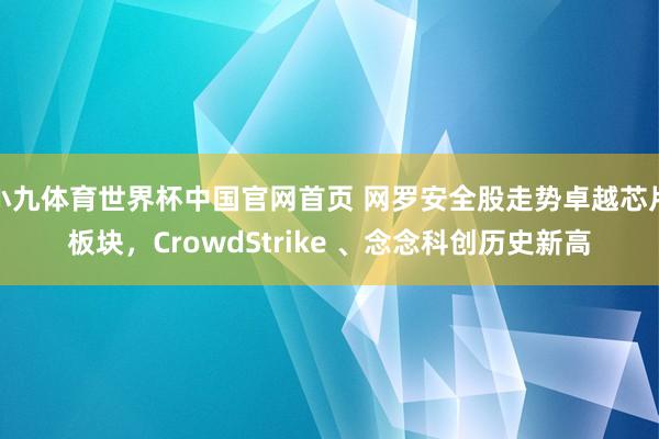 小九体育世界杯中国官网首页 网罗安全股走势卓越芯片板块，CrowdStrike 、念念科创历史新高