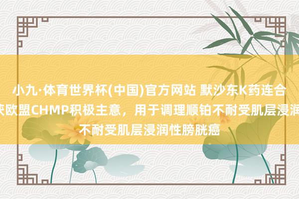 小九·体育世界杯(中国)官方网站 默沙东K药连合Padcev获欧盟CHMP积极主意，用于调理顺铂不耐受肌层浸润性膀胱癌