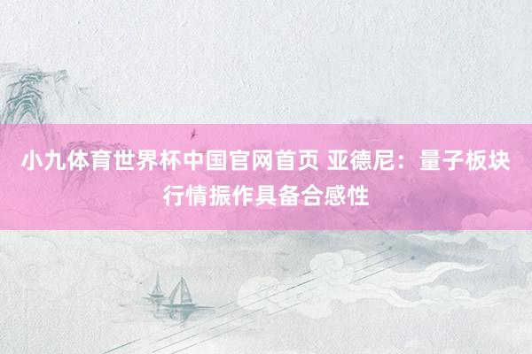 小九体育世界杯中国官网首页 亚德尼：量子板块行情振作具备合感性