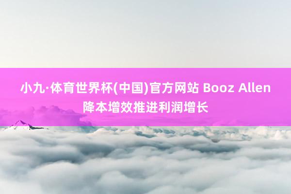 小九·体育世界杯(中国)官方网站 Booz Allen降本增效推进利润增长