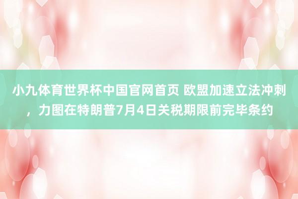 小九体育世界杯中国官网首页 欧盟加速立法冲刺，力图在特朗普7月4日关税期限前完毕条约