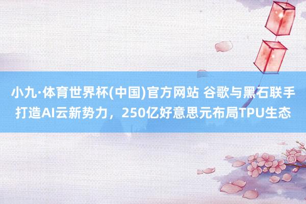 小九·体育世界杯(中国)官方网站 谷歌与黑石联手打造AI云新势力，250亿好意思元布局TPU生态