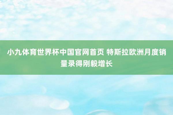 小九体育世界杯中国官网首页 特斯拉欧洲月度销量录得刚毅增长