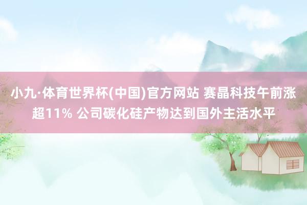 小九·体育世界杯(中国)官方网站 赛晶科技午前涨超11% 公司碳化硅产物达到国外主活水平