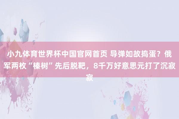 小九体育世界杯中国官网首页 导弹如故捣蛋？俄军两枚“榛树”先后脱靶，8千万好意思元打了沉寂