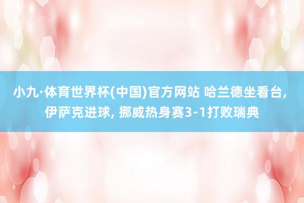 小九·体育世界杯(中国)官方网站 哈兰德坐看台, 伊萨克进球, 挪威热身赛3-1打败瑞典