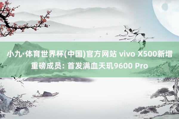 小九·体育世界杯(中国)官方网站 vivo X500新增重磅成员: 首发满血天玑9600