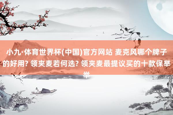 小九·体育世界杯(中国)官方网站 麦克风哪个牌子的好用? 领夹麦若何选? 领夹麦最提