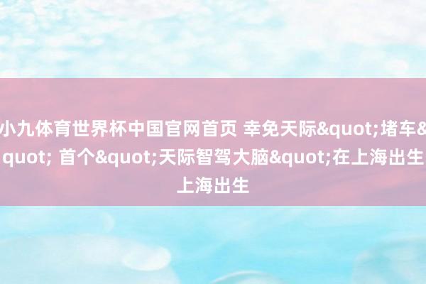 小九体育世界杯中国官网首页 幸免天际"堵车" 首个"天际智驾大脑"在上海出生