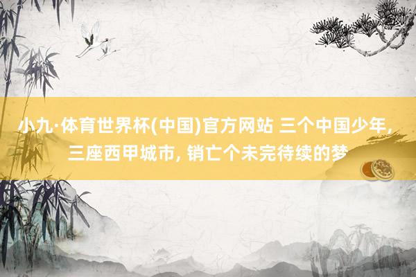 小九·体育世界杯(中国)官方网站 三个中国少年， 三座西甲城市， 销亡个未完待续的梦