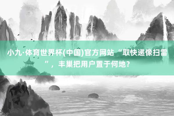 小九·体育世界杯(中国)官方网站 “取快递像扫雷”，丰巢把用户置于何地？