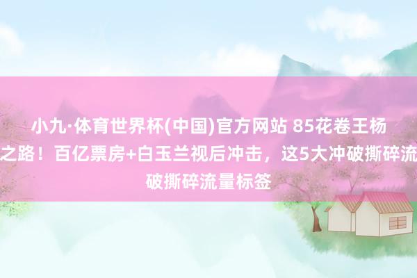 小九·体育世界杯(中国)官方网站 85花卷王杨幂封神之路！百亿票房+白玉兰视后冲击，这5大冲破撕碎流量标签