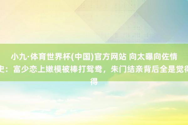 小九·体育世界杯(中国)官方网站 向太曝向佐情史:富少恋上嫩模被棒打鸳鸯,朱门结亲背后全是觉得