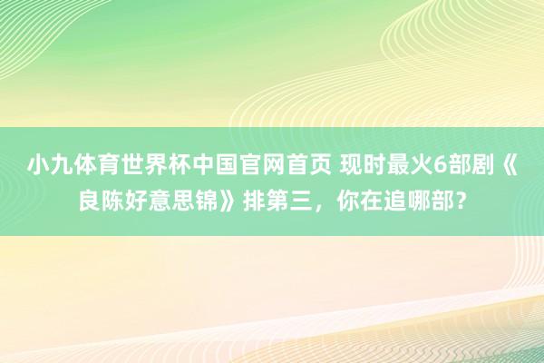 小九体育世界杯中国官网首页 现时最火6部剧《良陈好意思锦》排第三，你在追哪部？