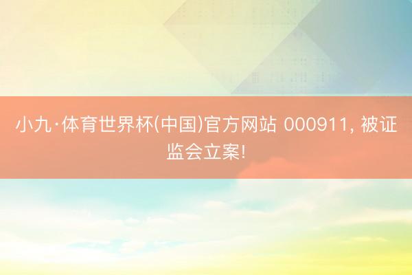 小九·体育世界杯(中国)官方网站 000911， 被证监会立案!