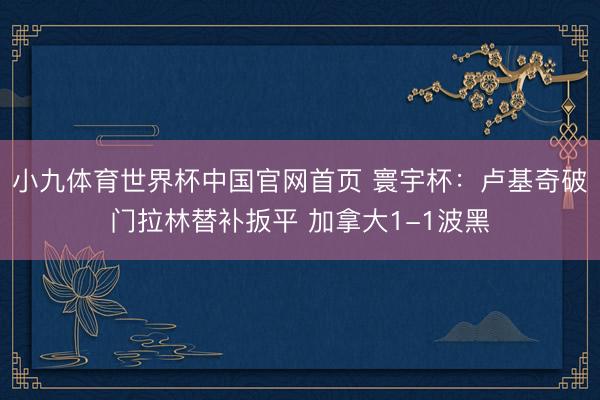 小九体育世界杯中国官网首页 寰宇杯：卢基奇破门拉林替补扳平 加拿大1-1波黑