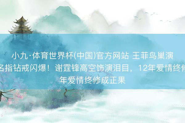 小九·体育世界杯(中国)官方网站 王菲鸟巢演唱会无名指钻戒闪爆！谢霆锋高空饰演泪目，12年爱情终修成正果
