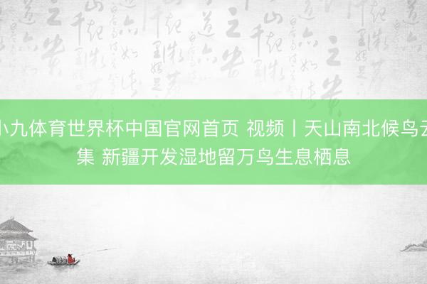 小九体育世界杯中国官网首页 视频丨天山南北候鸟云集 新疆开发湿地留万鸟生息栖息