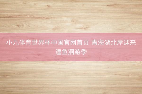小九体育世界杯中国官网首页 青海湖北岸迎来湟鱼洄游季