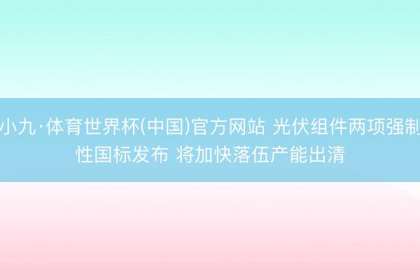 小九·体育世界杯(中国)官方网站 光伏组件两项强制性国标发布 将加快落伍产能出清