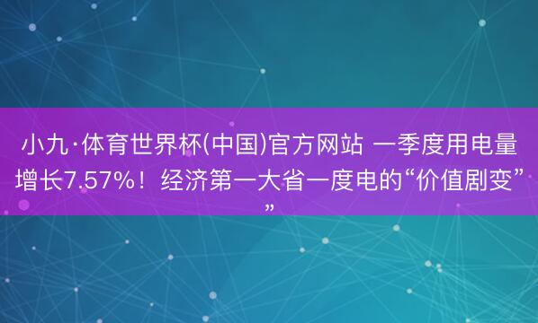 小九·体育世界杯(中国)官方网站 一季度用电量增长7.57%！经济第一大省一度电的“价值剧变”