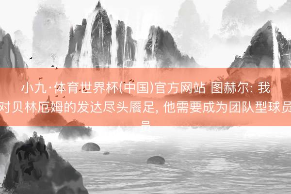 小九·体育世界杯(中国)官方网站 图赫尔: 我对贝林厄姆的发达尽头餍足， 他需要成为团队型球员